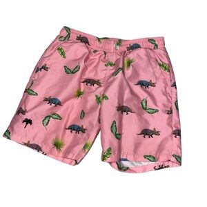 Oas kids boys swim trunks pink dinosaurs 12 bathing suit swimsuit